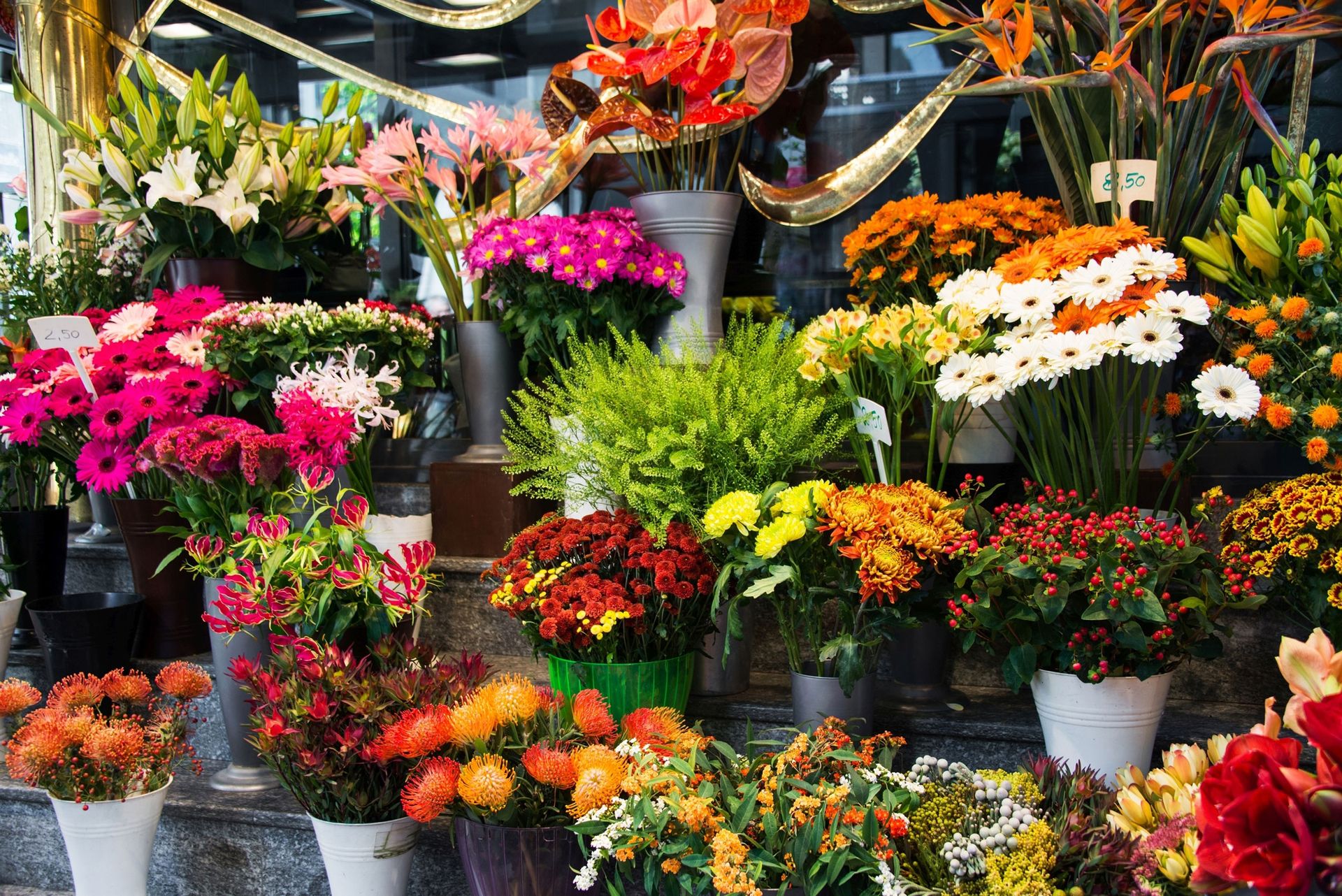 Viele verschiedene Blumensträuße in verschiedenen Farben